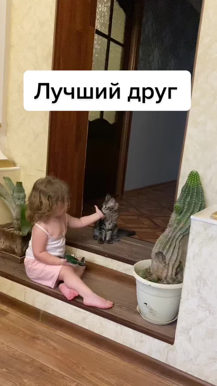 @Anastasia_Gromova