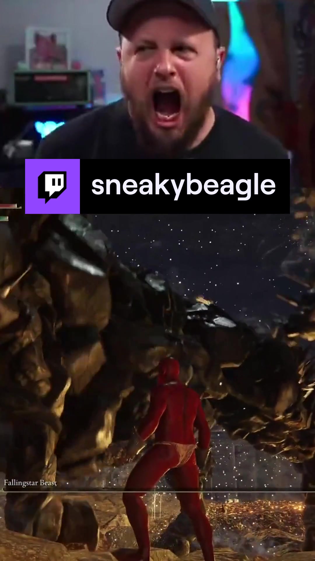 @Sneaky Beagle