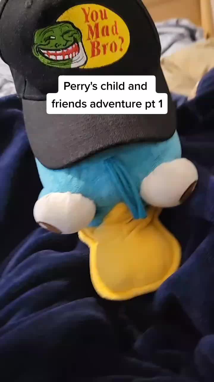 @ang3licmeowttv