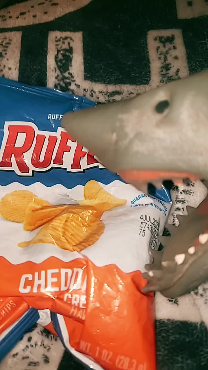@Sharky 🦈