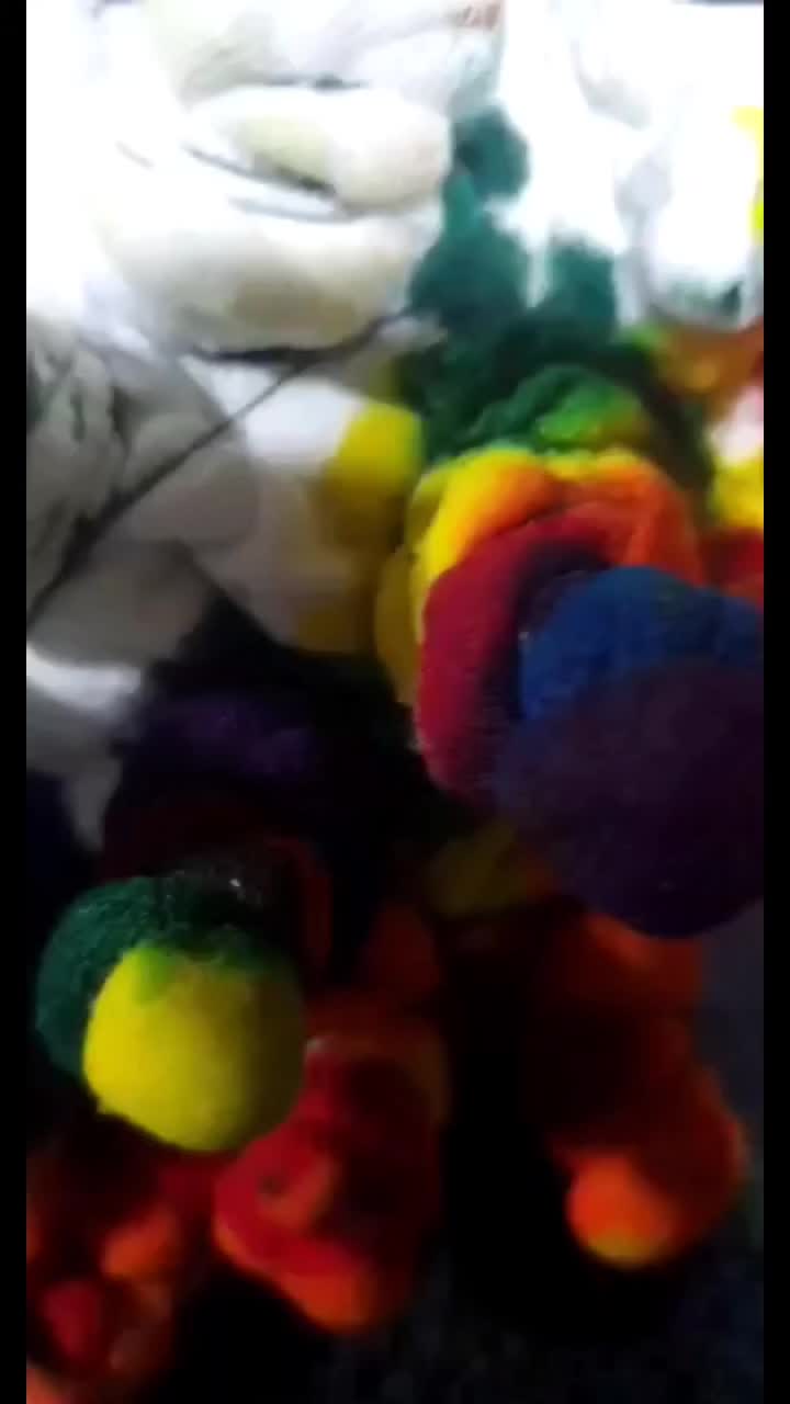 @Zimsdyeco
