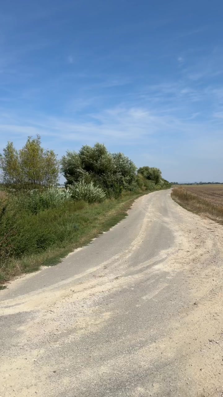 @Čivas