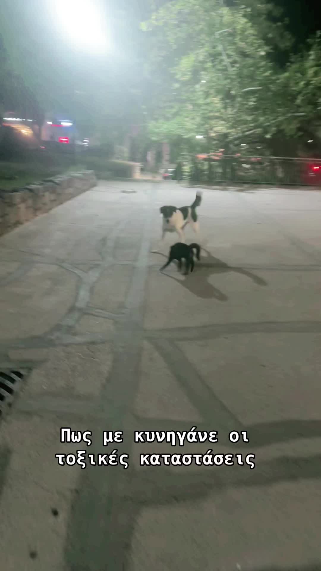 @tsia