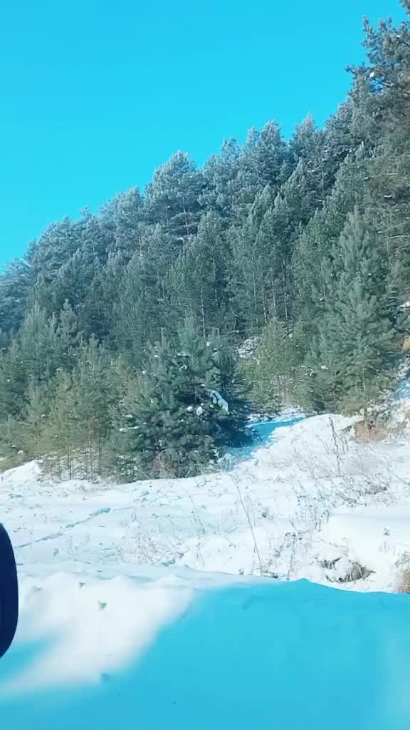 @Владимир