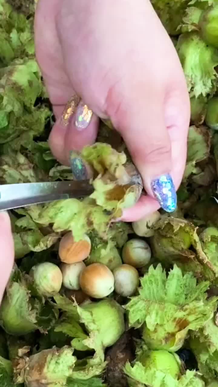 @Sarah