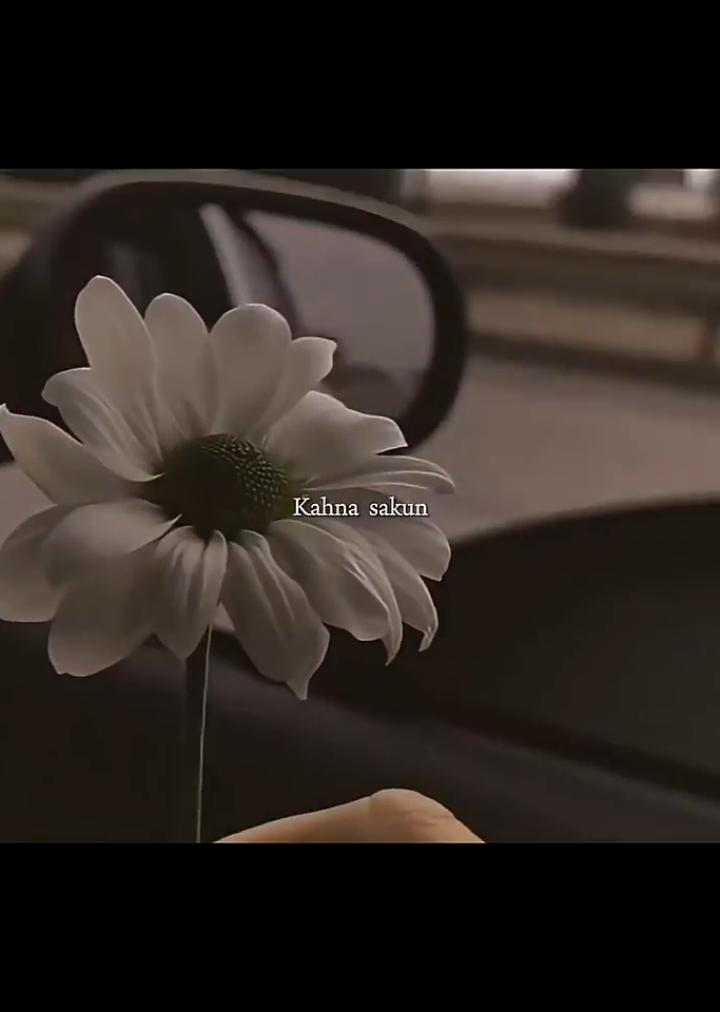 @ANEES 🎀🫀