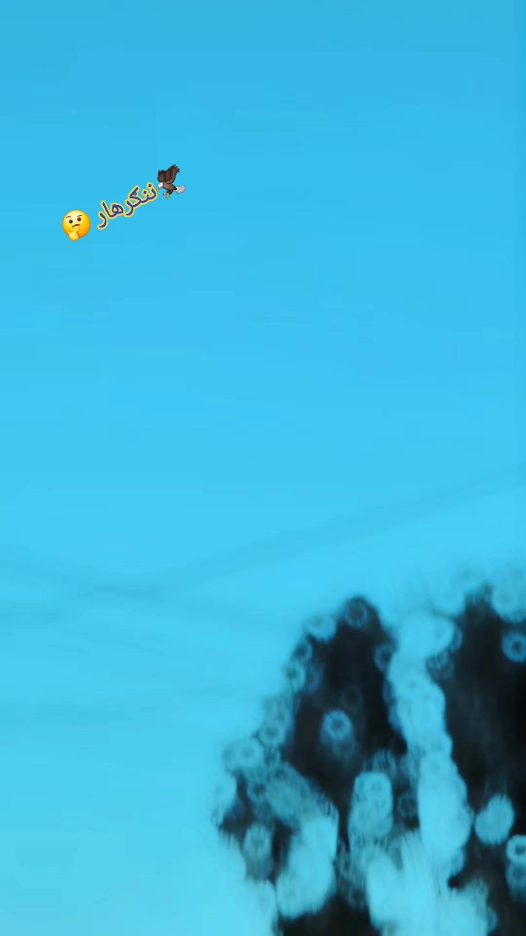 @🍁_𝐃 𝐄 𝐖 𝐀 𝐍 𝐀_👈