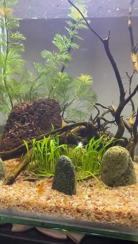 @goldenaquahub