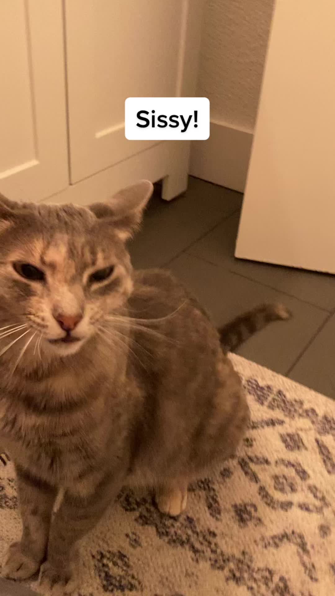 @coopersissysammy