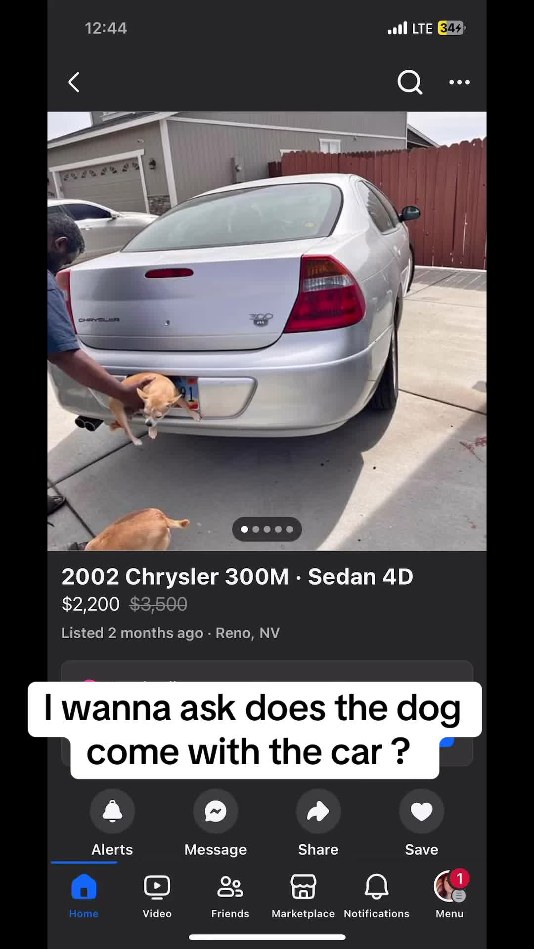 @bigbodyxena_ss