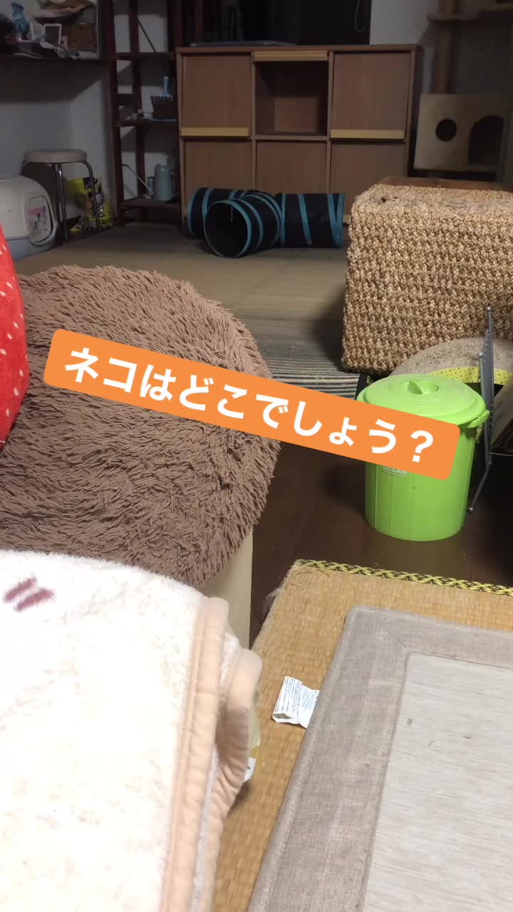 @さだこ