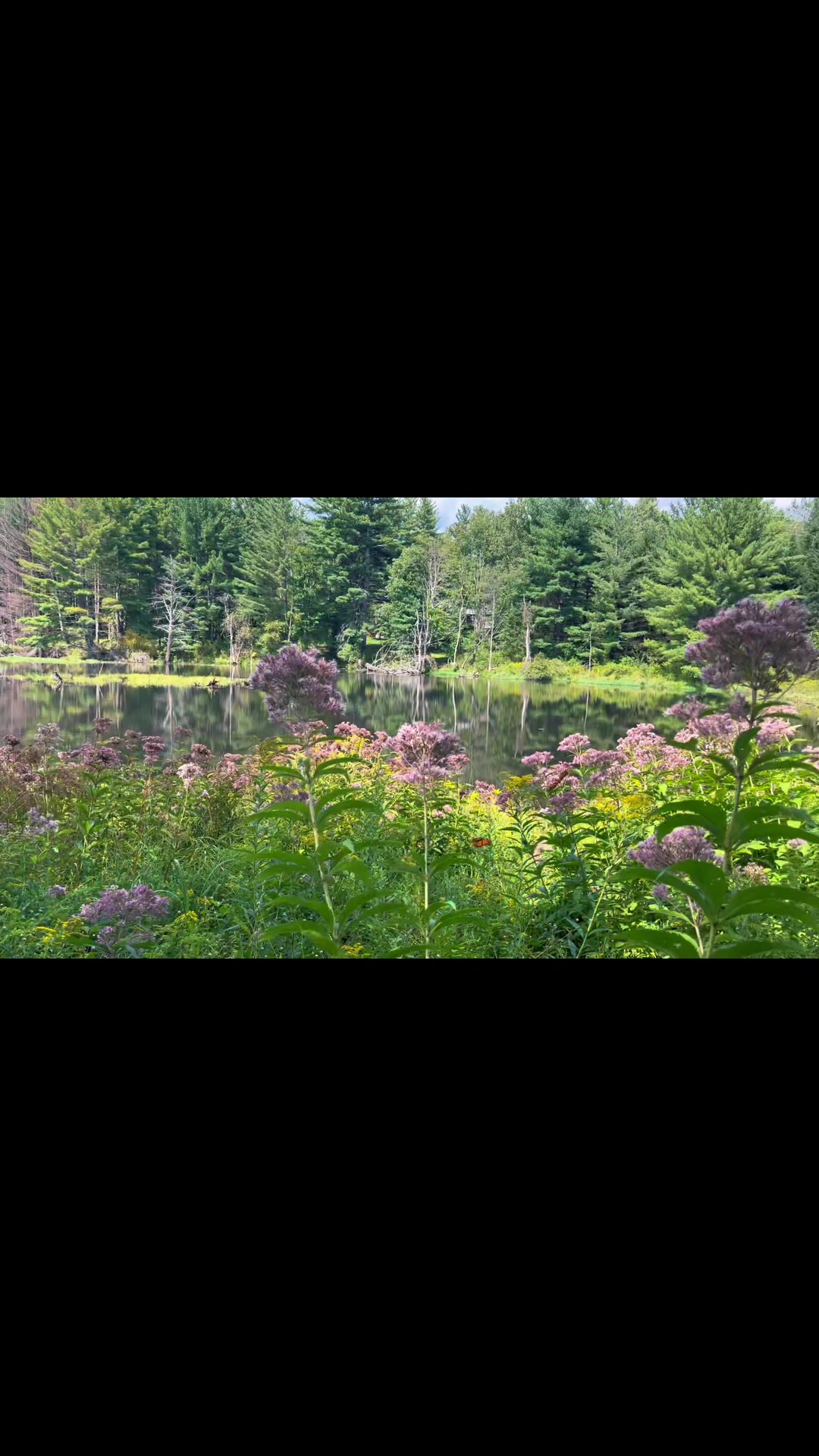 @aud⋆⑅˚₊🌾🪼