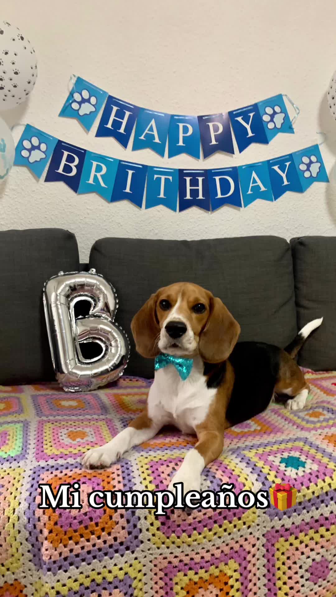 @biggieelbeagle