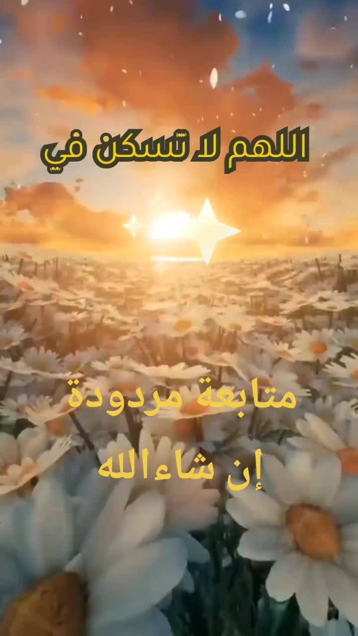 @vlog qeust