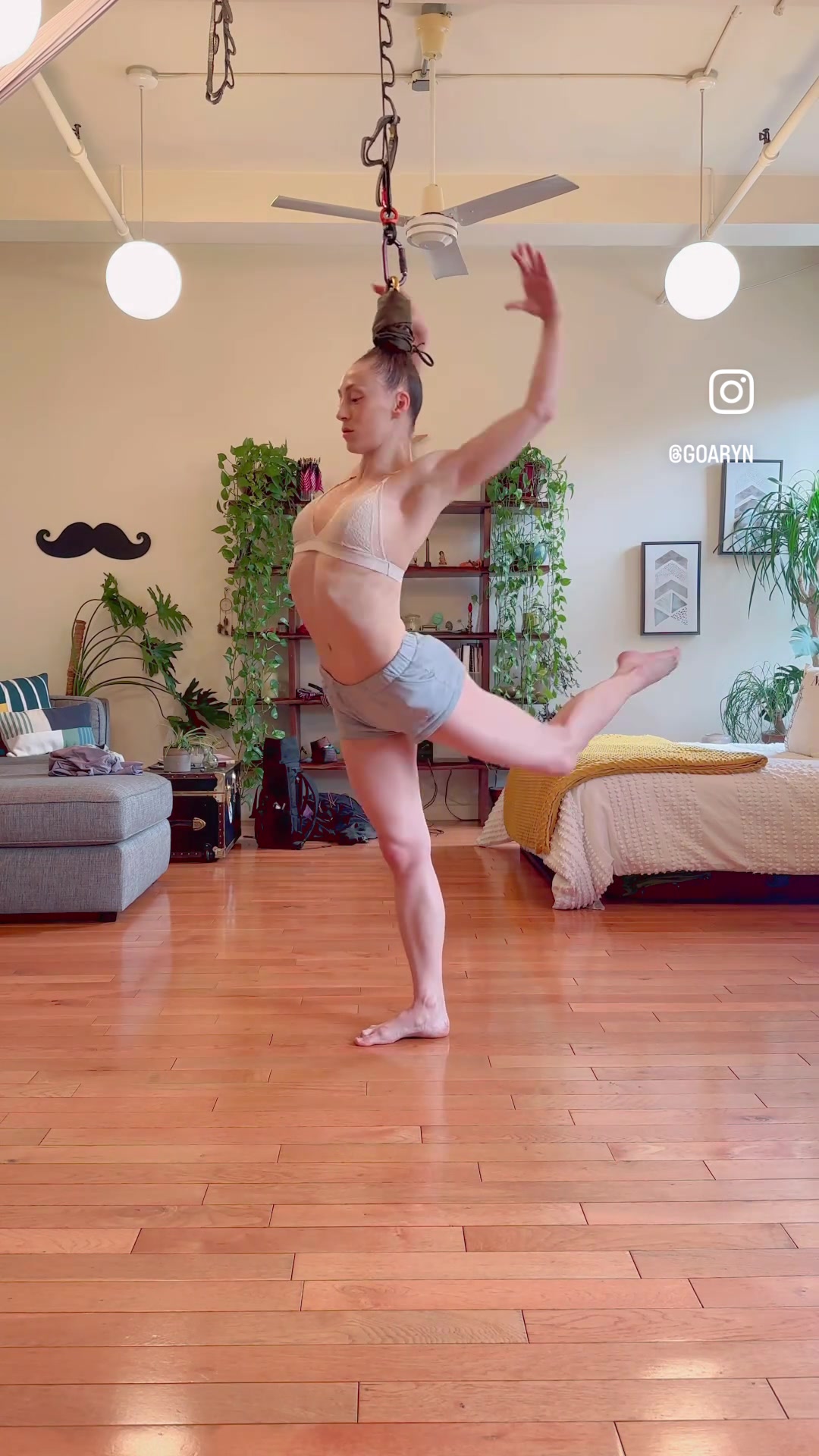 @goaryn