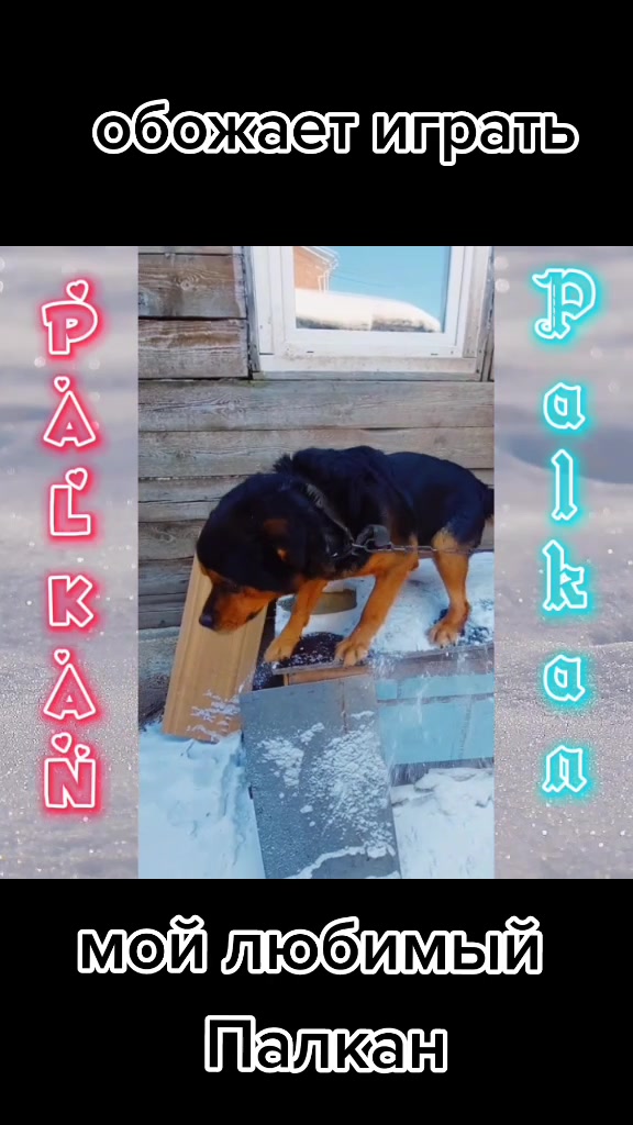 @Wolf_Dark_DJ_Broksa