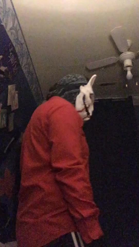 @Enzo