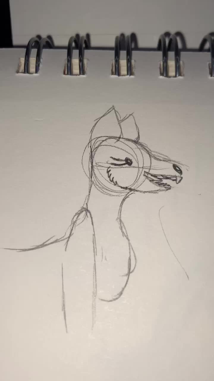 @alex.wolves