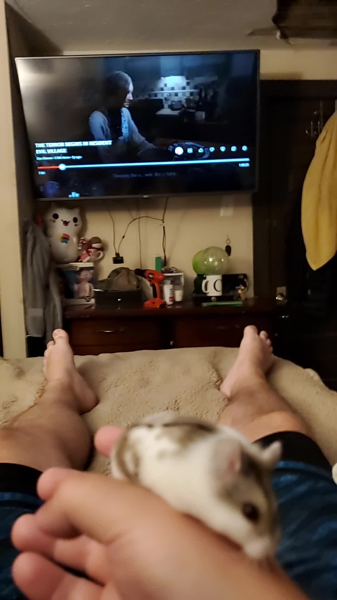 @CamCam