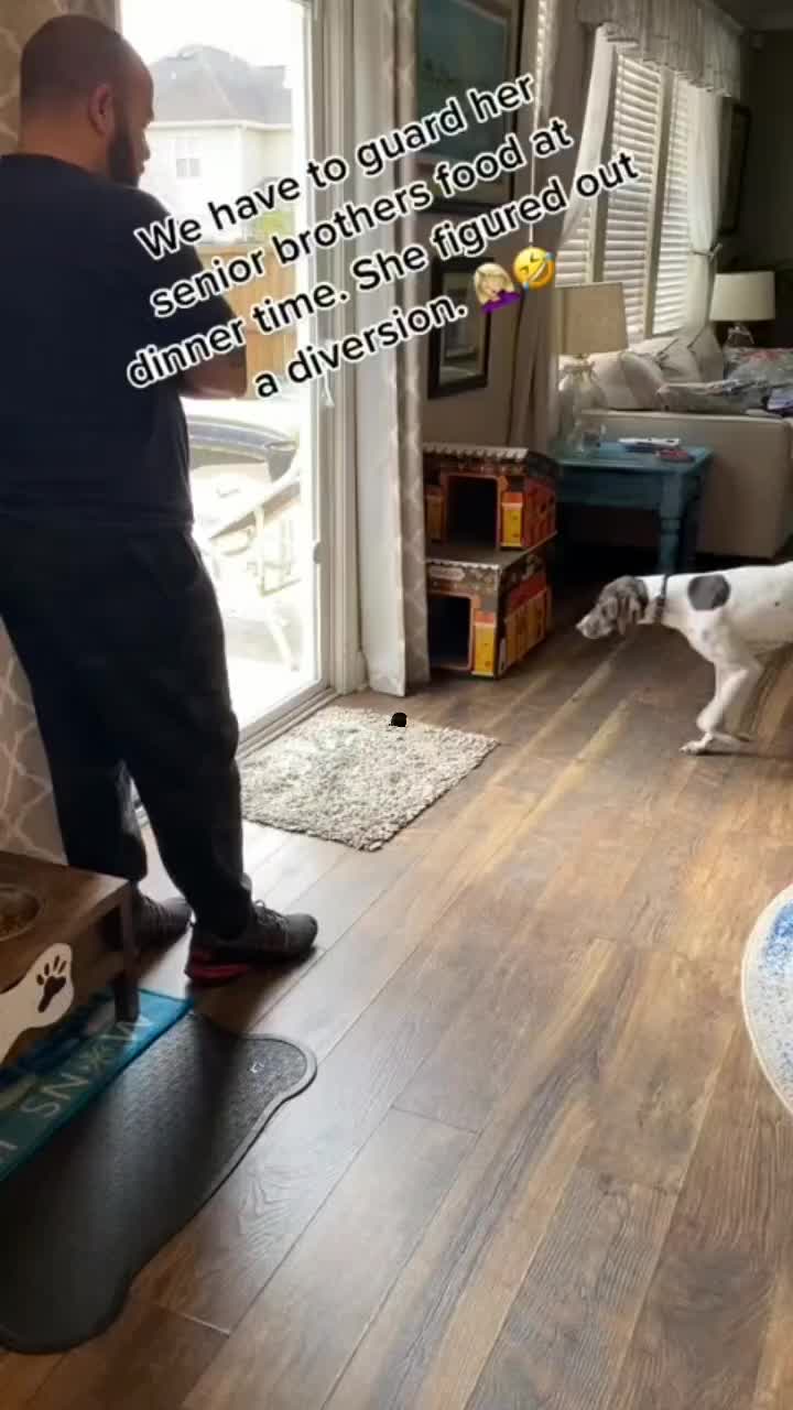 @fyygg12