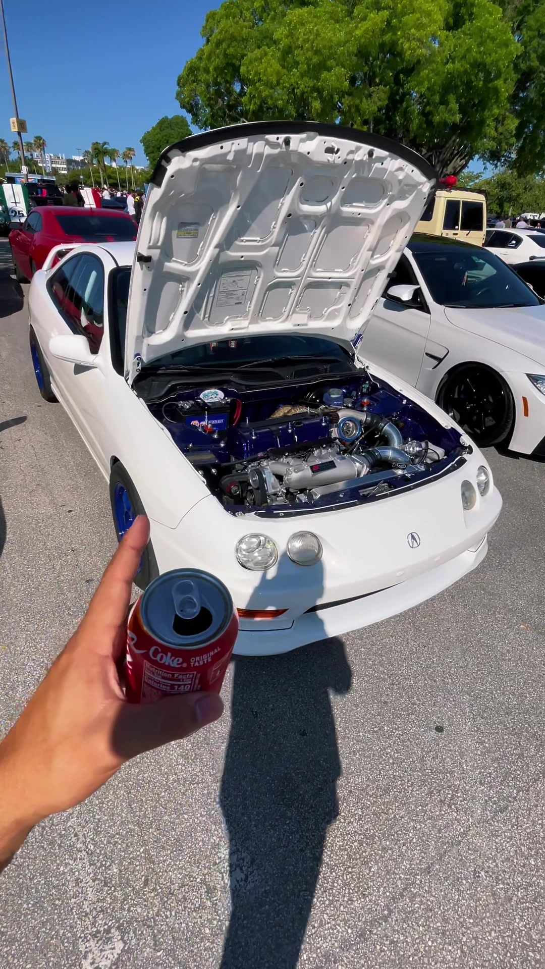 @marantawx