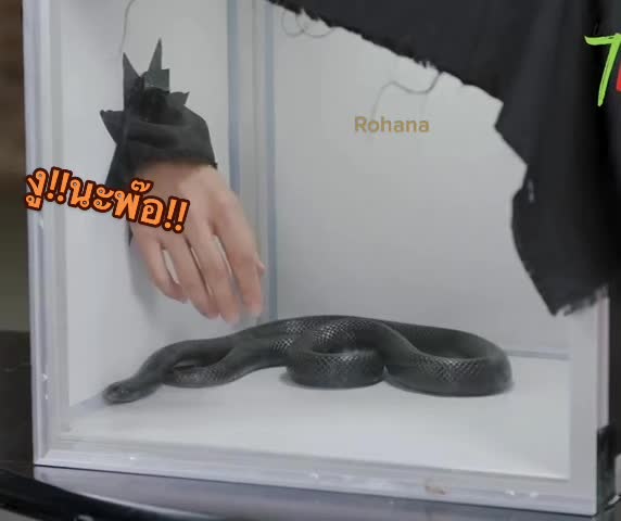 @rohana
