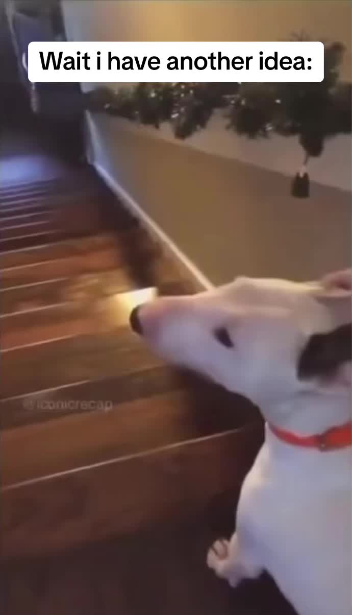 @Marco_1808