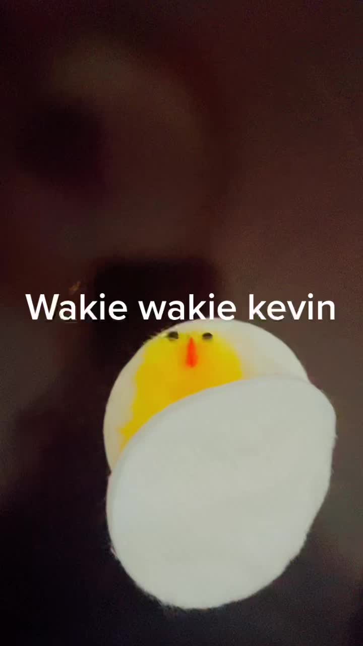 @kevin_the_chick_
