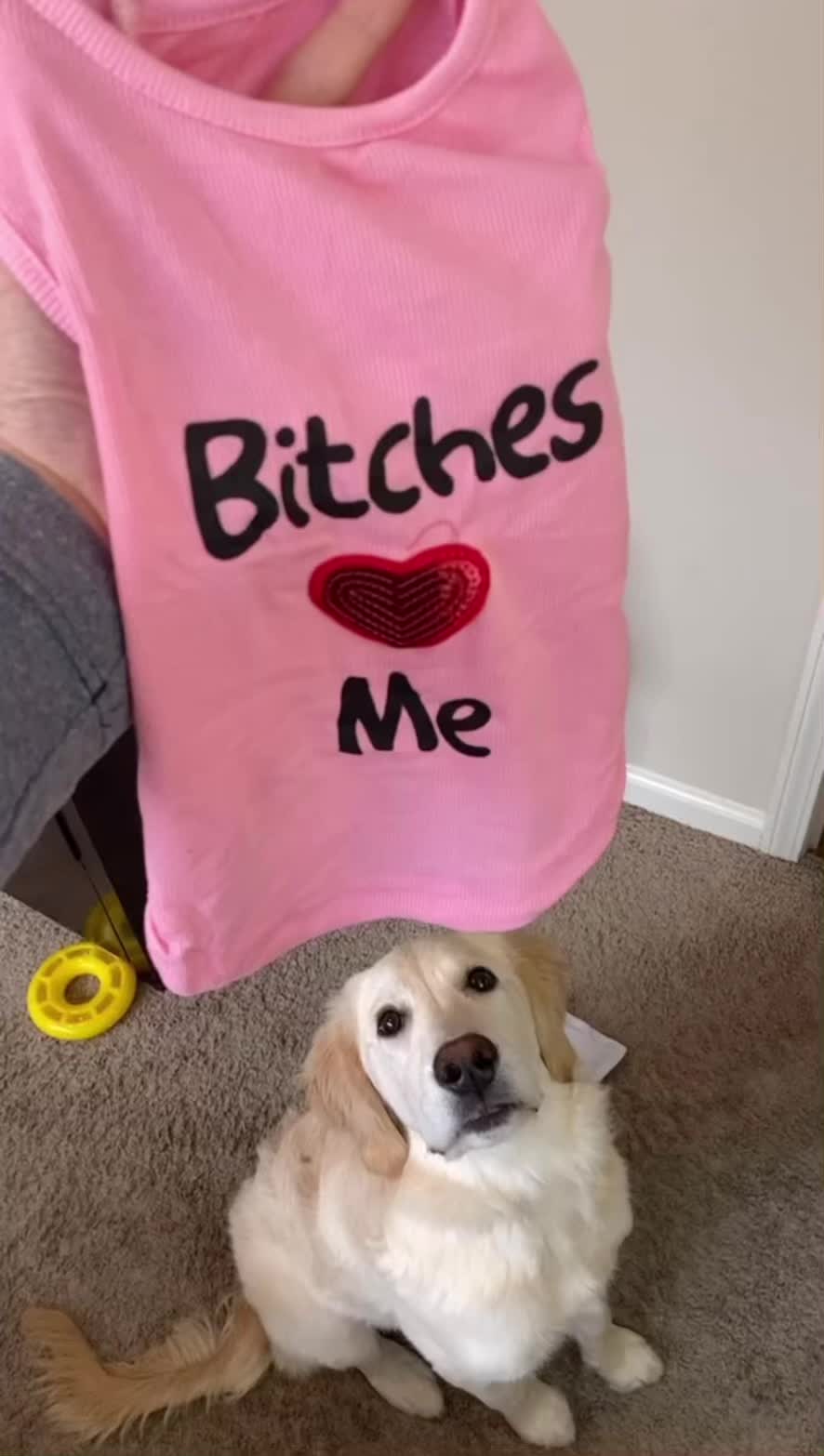 @Joey and Goose