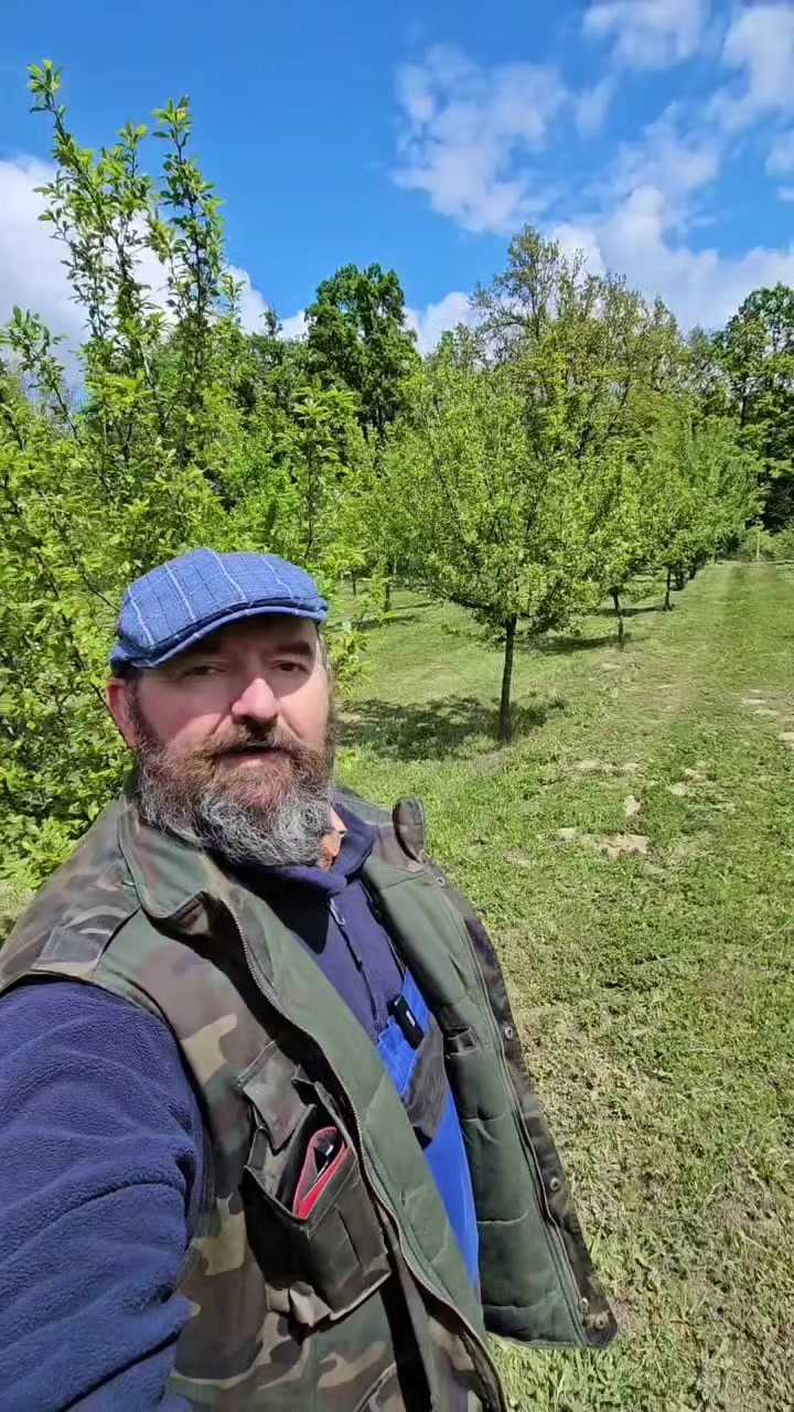 @čiča Zlaja