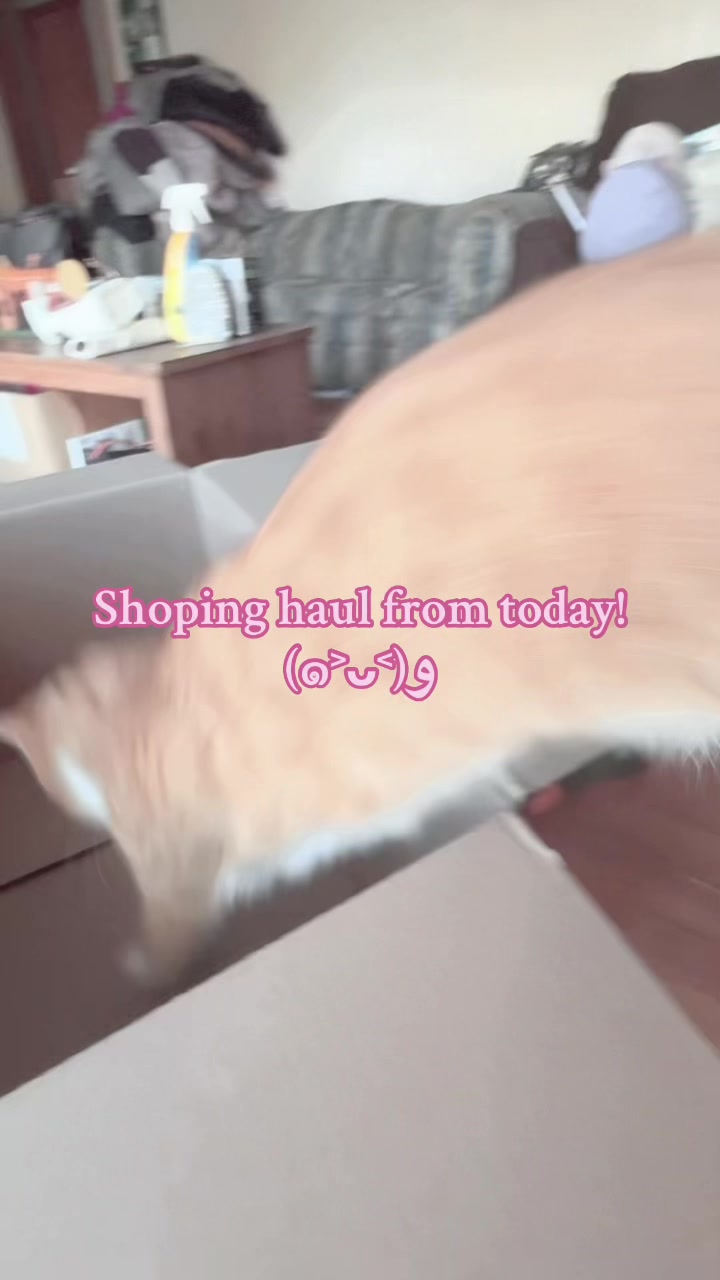 @⋆.ೃ࿔*:･🍒