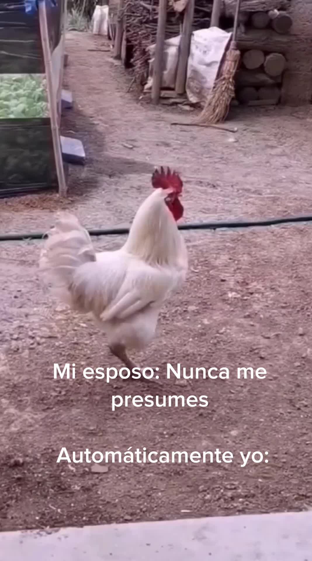 @Gema Villanueva