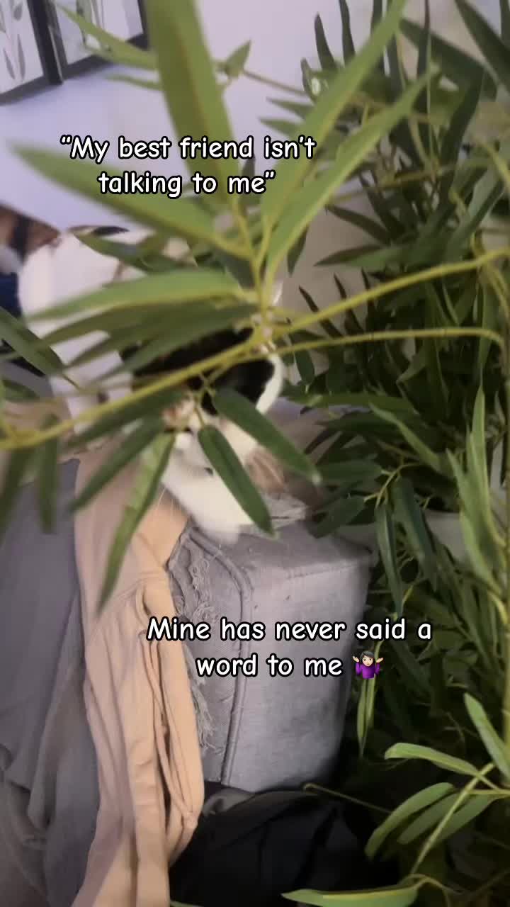 @Ayşen 🌺✨