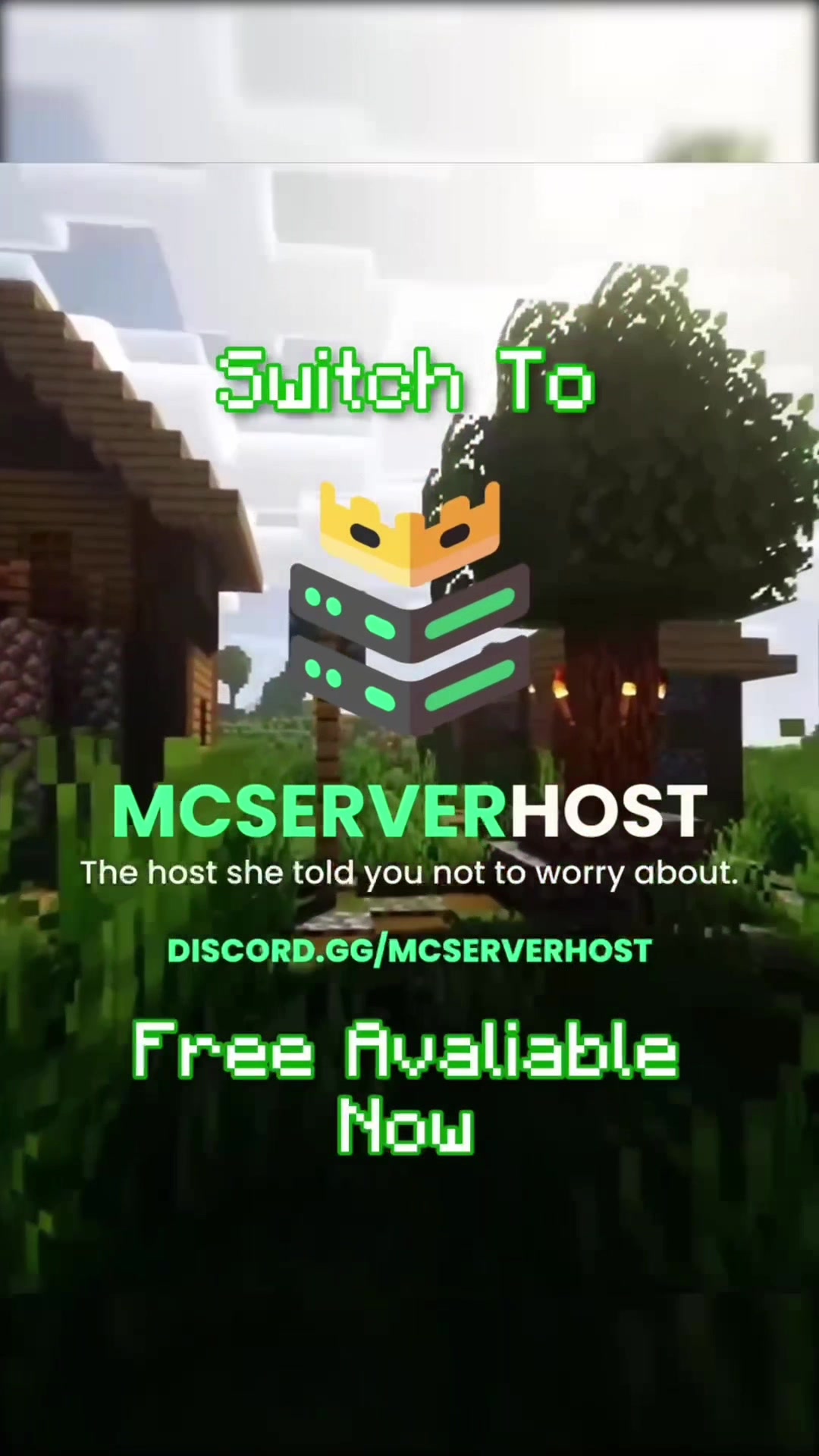 @MCServerHost