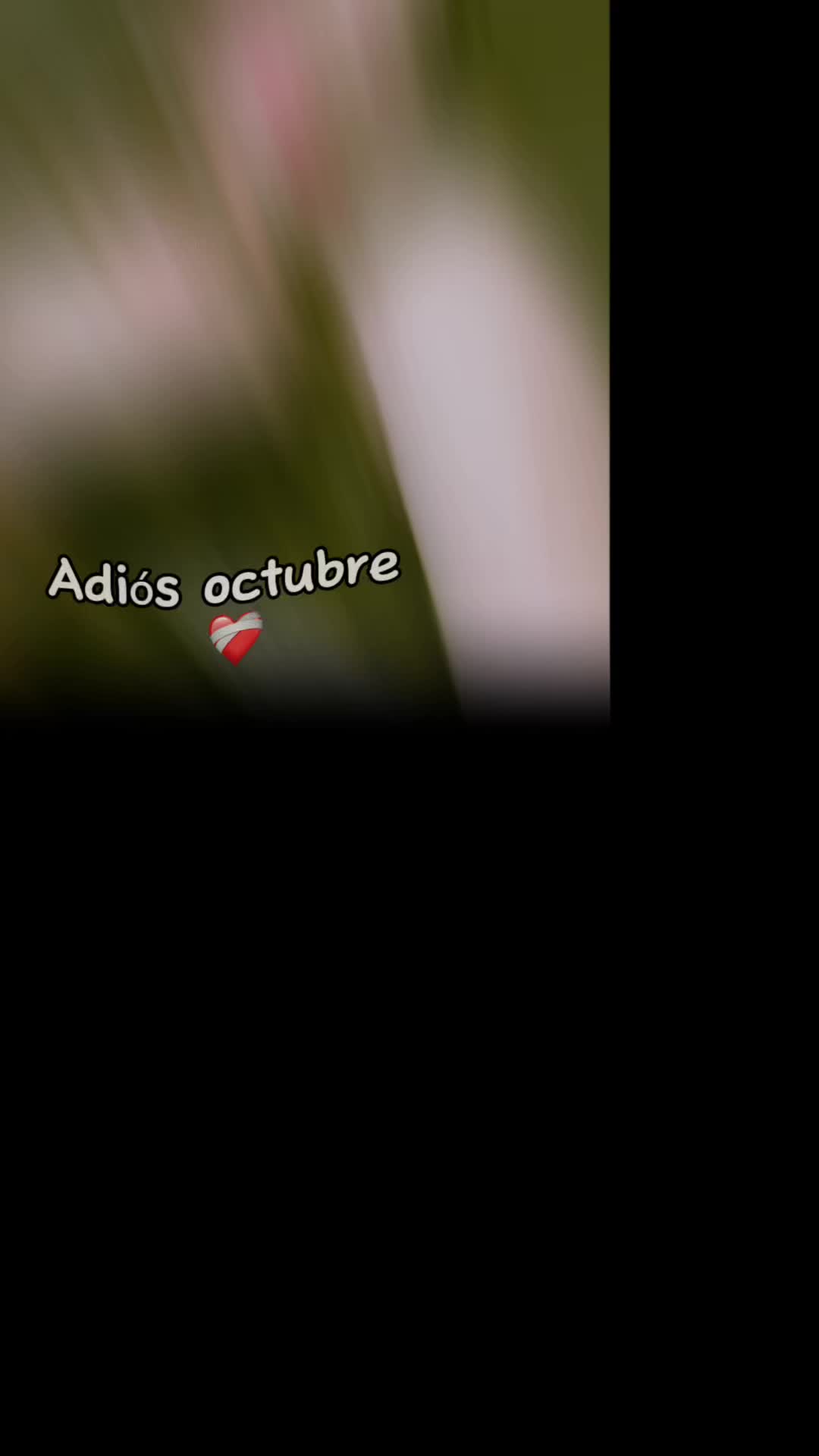 @M🖤