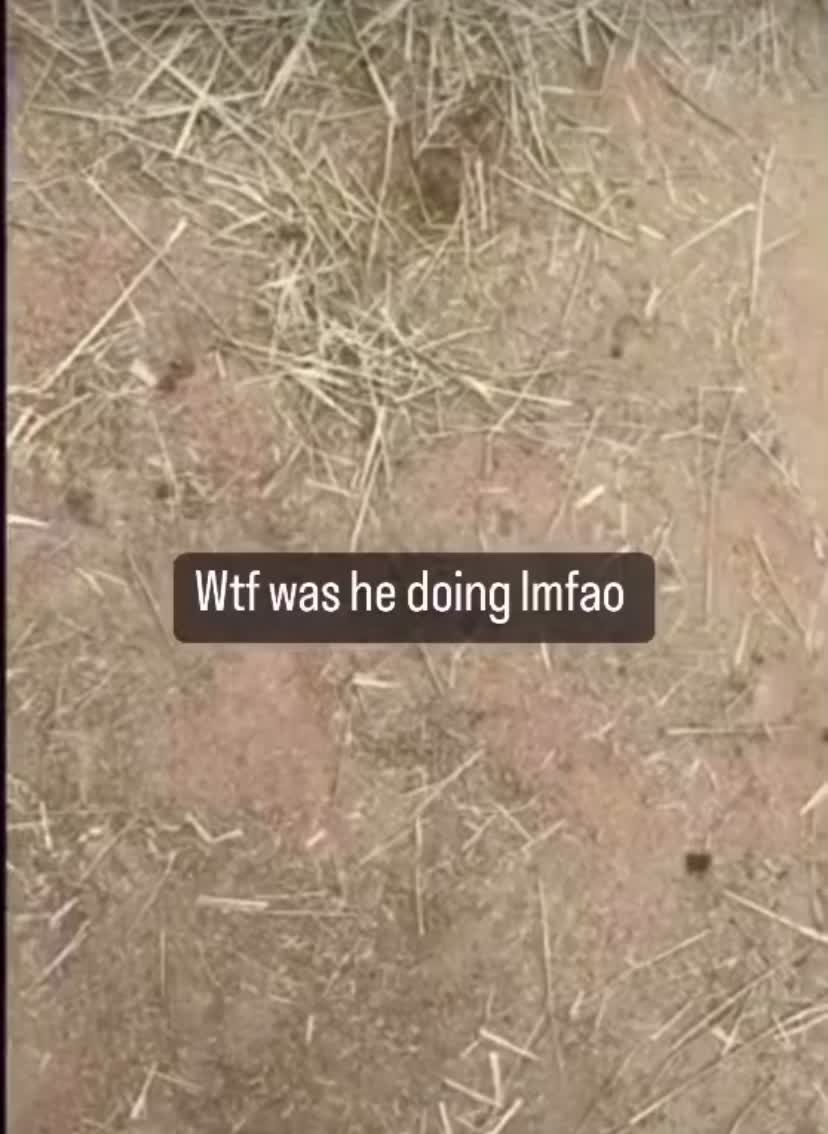 @MemeCentral