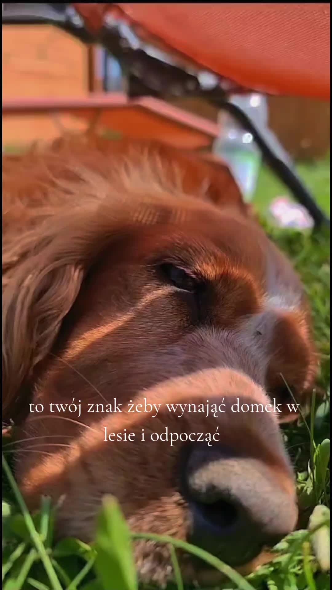 @Domki w Dolinie Radomki