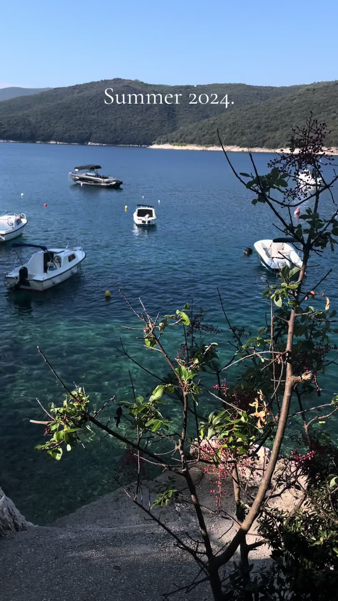 @Ena Ćićak