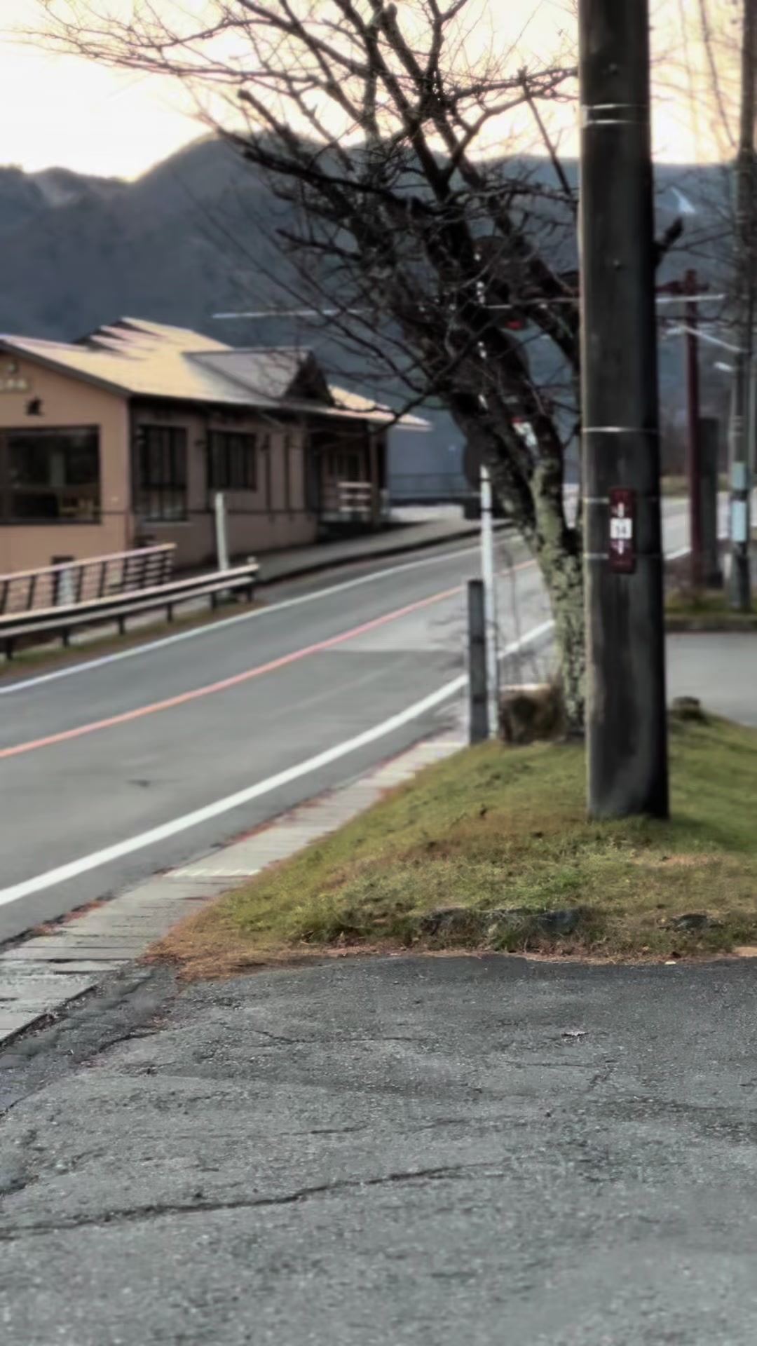 @サジットS14🇯🇵