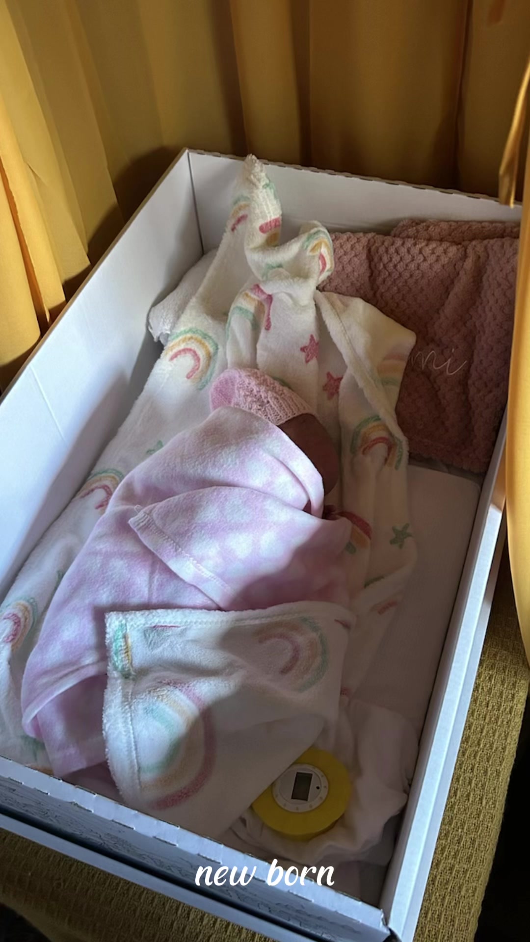 @Fatalkitty 😼