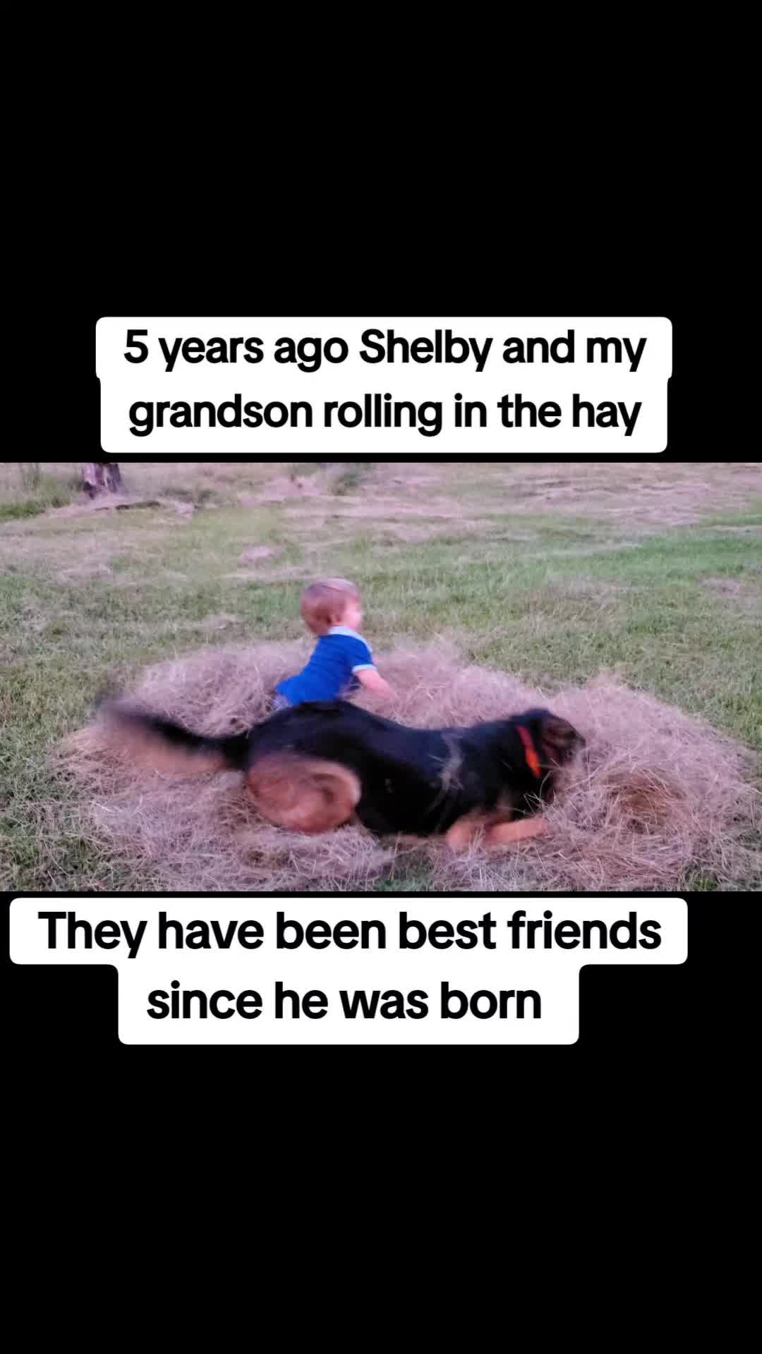 @Chase and Shelby and Liberty