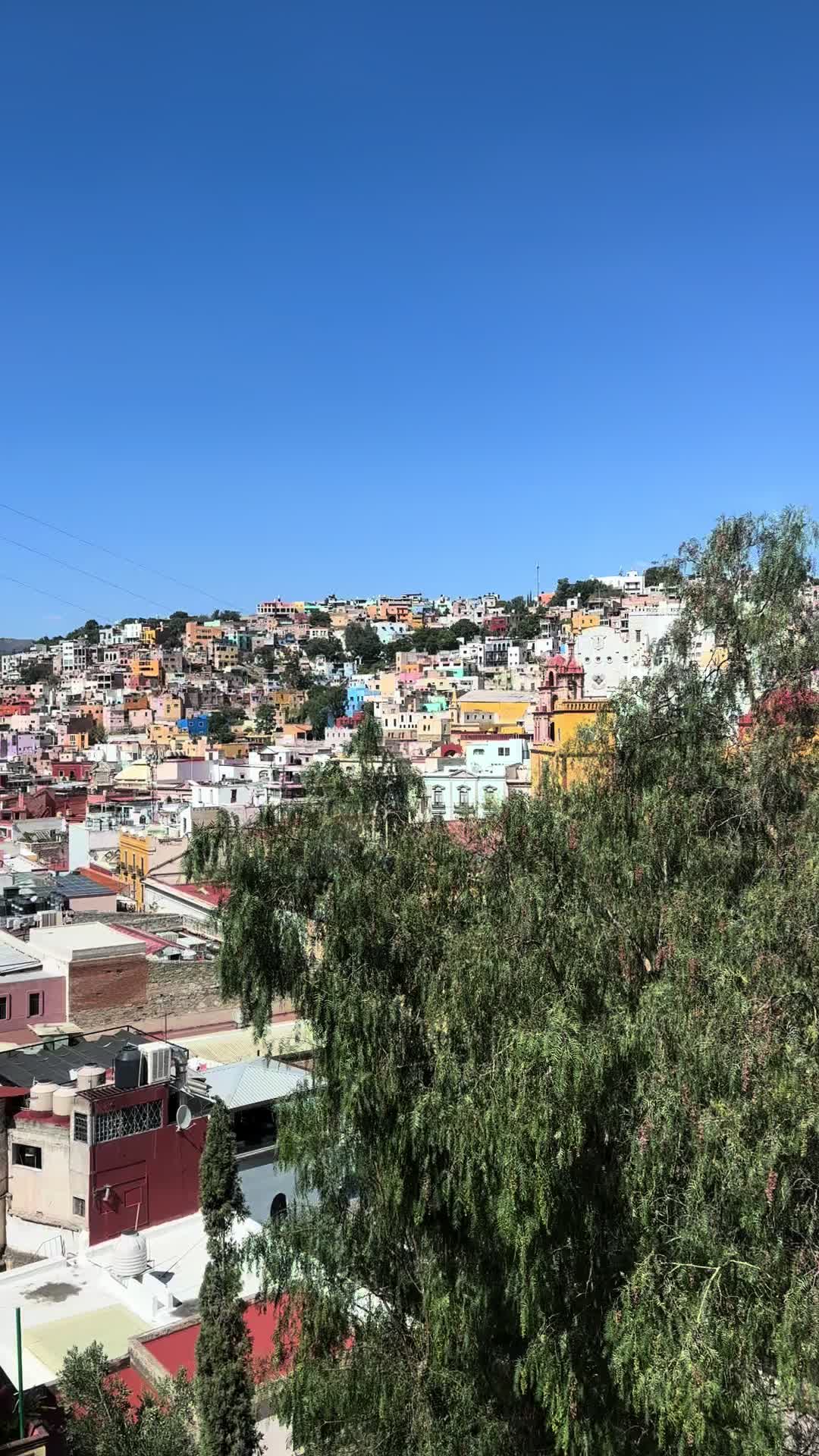 @haypaola