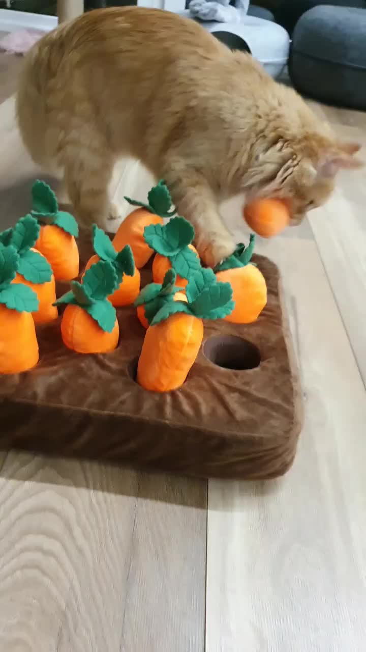 @PawzPot_com
