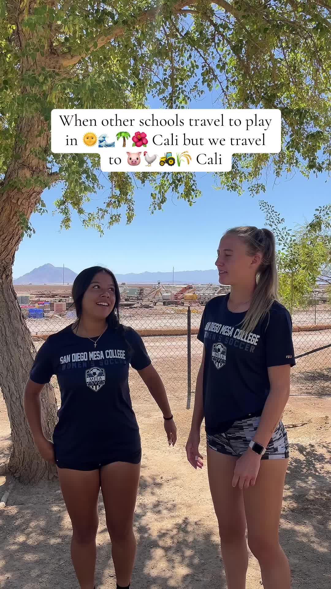 @sdmesawsoc