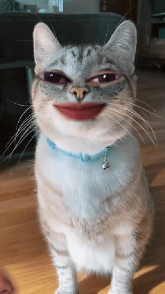 @yves