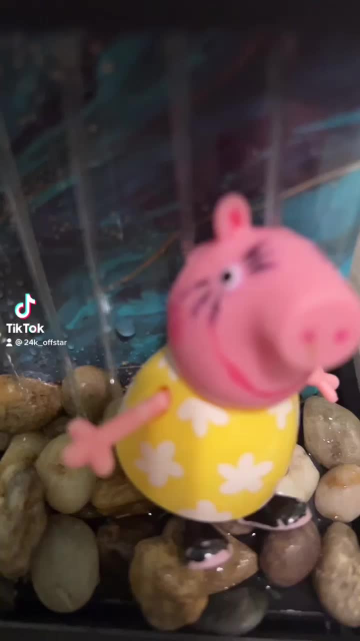 @PEPPA💋😻