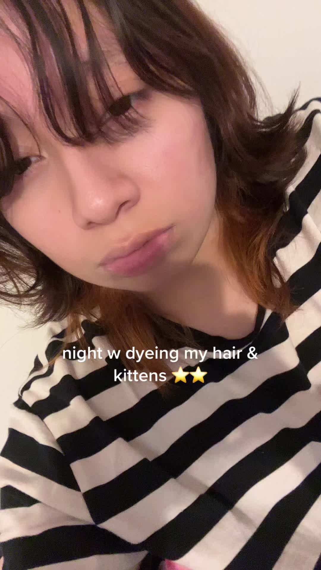 @ᐢ⤙ᐢ !