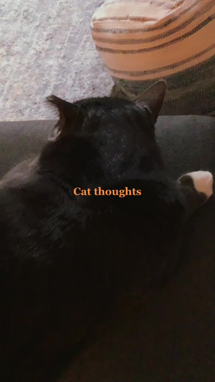 @Grayartcat