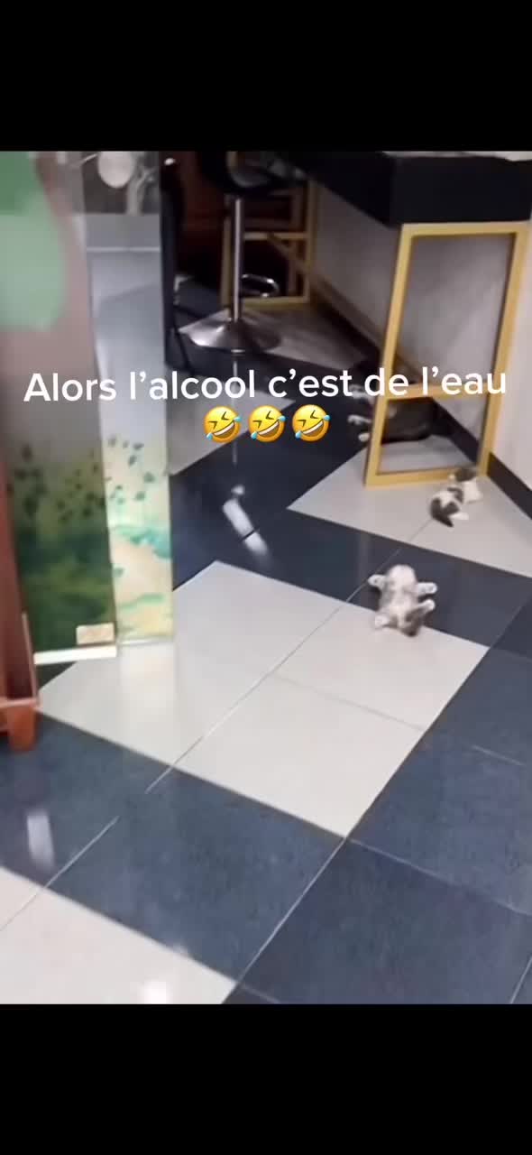 @Julien Loulous
