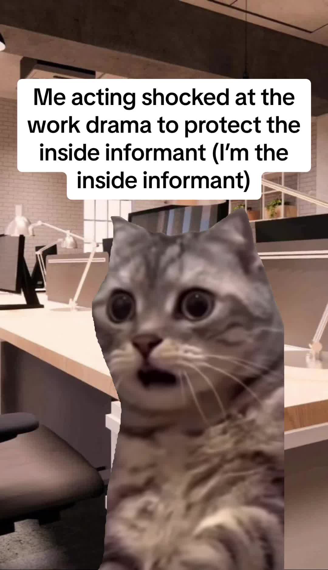 @Imperial Resume